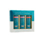 Colorescience Total Protection Color Balm SPF 50 Endless Summer Collection TrioSunscreen - Renew Wellness & Aesthetics