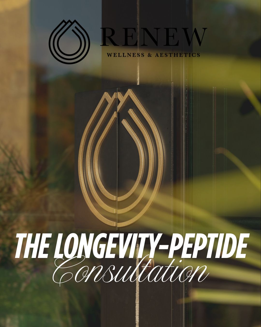 The Longevity Consult || Peptide Consultation