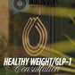 The Healthy Weight Blueprint ||GLP-1 Weight Loss Consultation